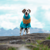 

Dalmatien - Pull pour Chien
1