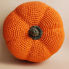 

Citrouille - Jouet au crochet
2