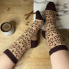 

Cinnamon Spice - Chaussettes
1