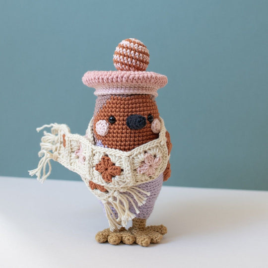 3e dimanche de l&#39;Avent - Amigurumi - Grayson Robin