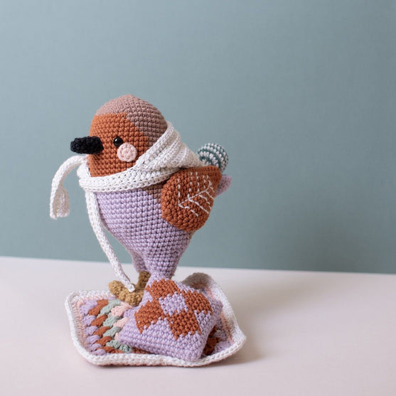 

3e dimanche de l'Avent - Amigurumi - Grayson Robin
6