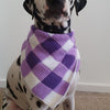 

Summer Picnic - Foulard pour Chien
1