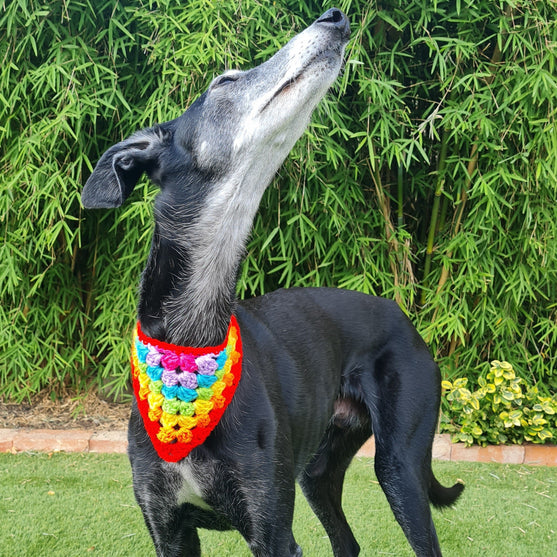 

Dandy - Bandana pour Chien
3