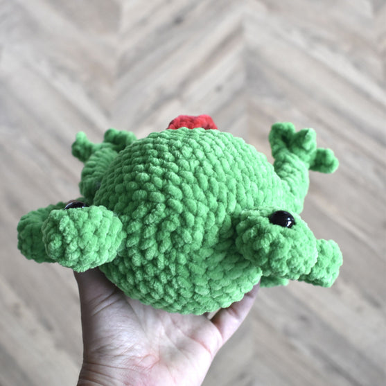 

Splashy la grenouille
7