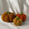

Citrouilles Tweedy
2