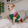 

Benson - Pull pour Chien
1
