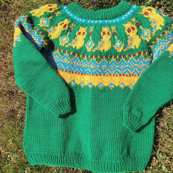 

Silly Owl - Pull Enfant
2