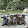 

Teddy Basserne
3