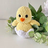 

Edie le Poussin
2