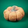 

Citrouilles géantes
6