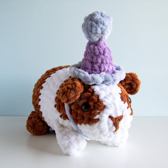 

Party Guinea Pig
3