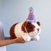 

Party Guinea Pig
1