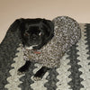 

Pull Pour Chien Flemming
2