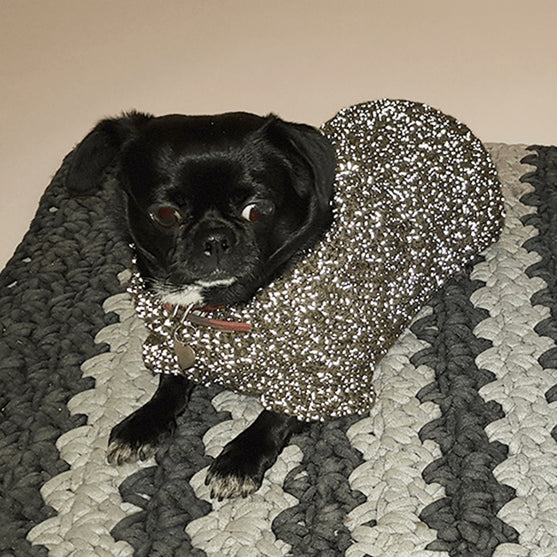 

Pull Pour Chien Flemming
2