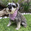 

Cuddly Wrap - Bandana pour Chien
1