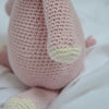

Gunnar le cochon
3
