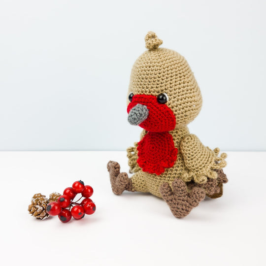 Ruddock le Rouge-gorge