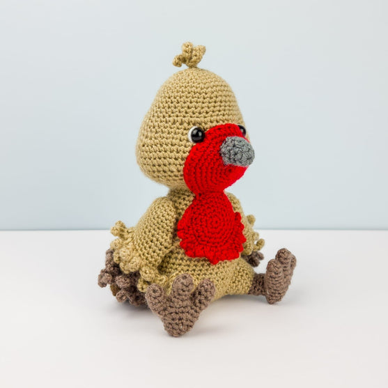 

Ruddock le Rouge-gorge
3