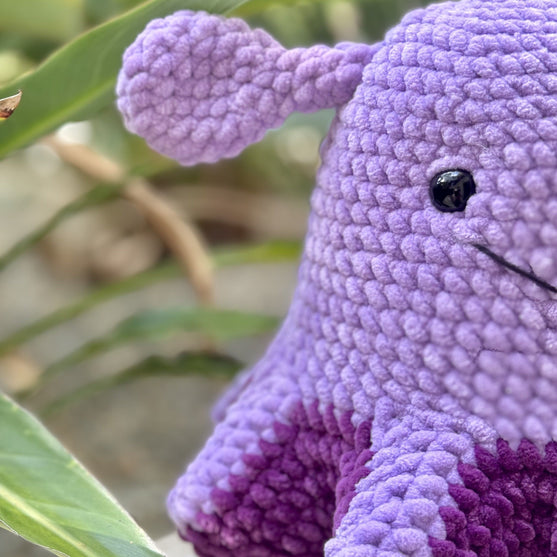 

Wade La Pieuvre Parapluie
3