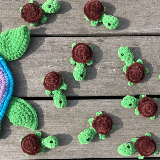 

Rainbow Turtles - Jeu de mémoire
8