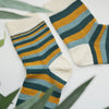 

Mimidae - Socks
2