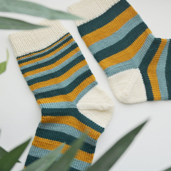 

Mimidae - Socks
2