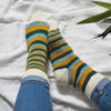 

Mimidae - Socks
3