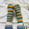 

Mimidae - Socks
4