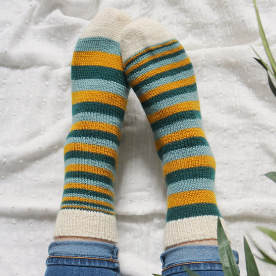 

Mimidae - Socks
4
