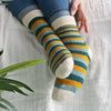 

Mimidae - Socks
5