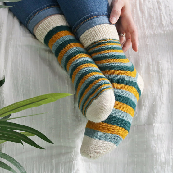 

Mimidae - Socks
5