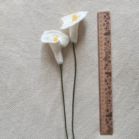 

Calla Flower
2
