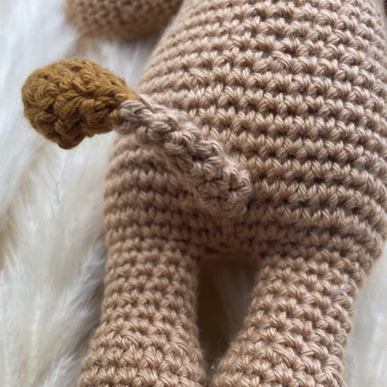 

Leo - Signe du Zodiaque
6