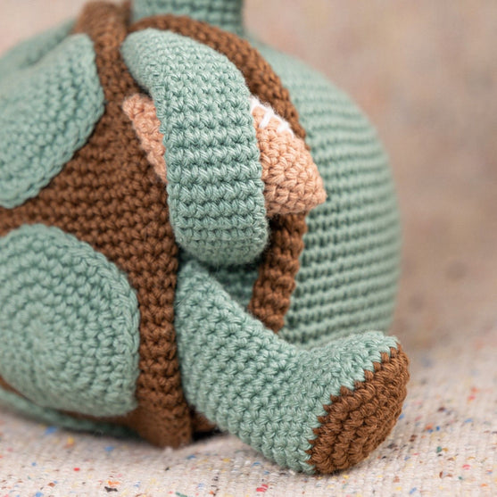 

Theo la tortue
7