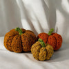 

Citrouilles Tweedy
2