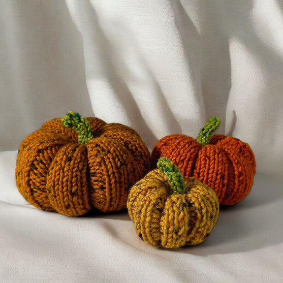 

Citrouilles Tweedy
2