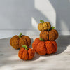 

Citrouilles Tweedy
1